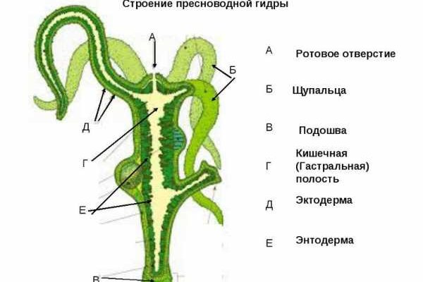 Мега ссылка тор браузер